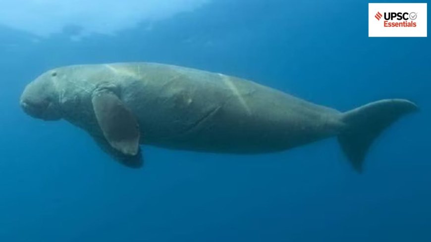 UPSC Essentials | Daily subject-wise quiz : Environment and Geography MCQs on Marine Protected Areas, Miombo woodland and more (Week 109)