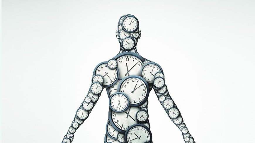 Circadian rhythms: how your body’s internal clock regulates your health