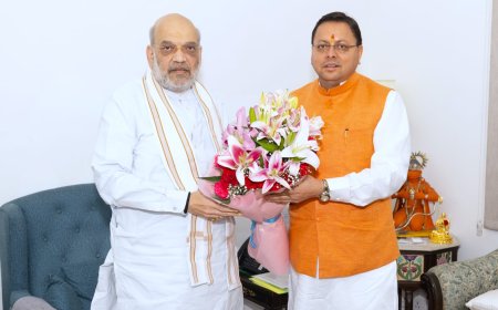 CM धामी ने गृहमंत्री अमित शाह से की भेंट, साइबर सेंटर ऑफ एक्सीलेंस” की स्थापना के लिए किया 63.60 करोड़ का अनुरोध