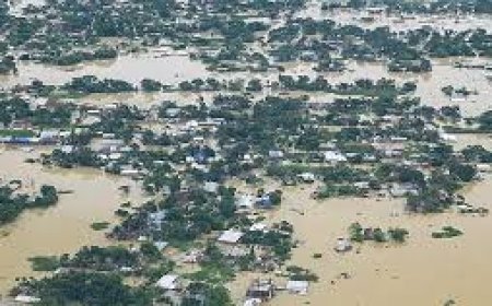 असम में नलबाड़ी जिले के बरखेत्री इलाके में आज ब्रह्मपुत्र नदी में यात्रियों से भरी एक नाव पलट गई