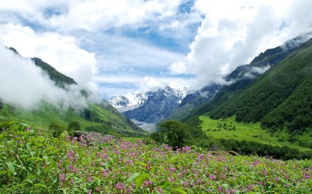 उत्तराखंड की फूलों की घाटी: हर 15 दिन में बदलती है रंगत, जून से अक्टूबर तक खुलता है स्वर्ग जैसा दृश्य