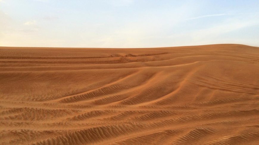 Monsoon-loving Indian expats chase rain in UAE desert