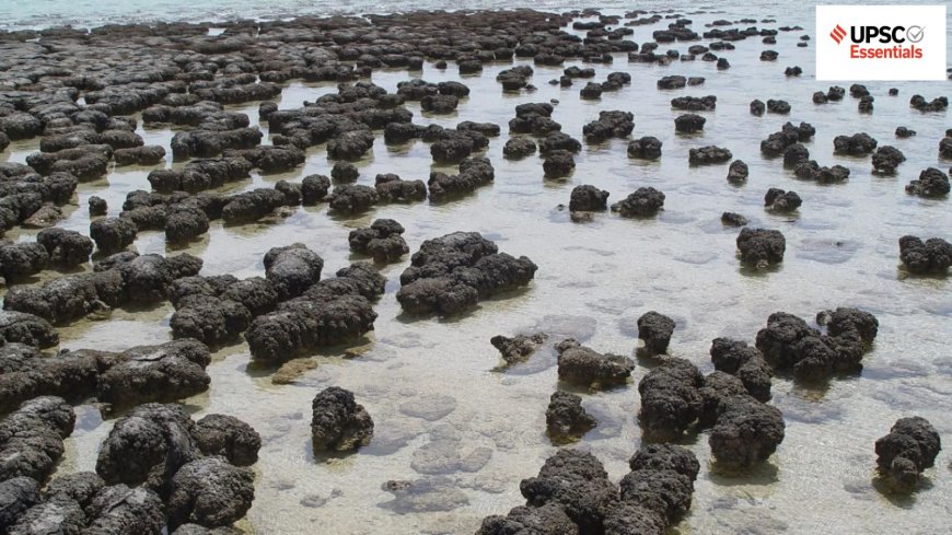 UPSC Essentials | Mains answer practice — GS 1 : Questions on significance of stromatolite formations and Kutch as a multi‑phased archaeological region (Week 106)
