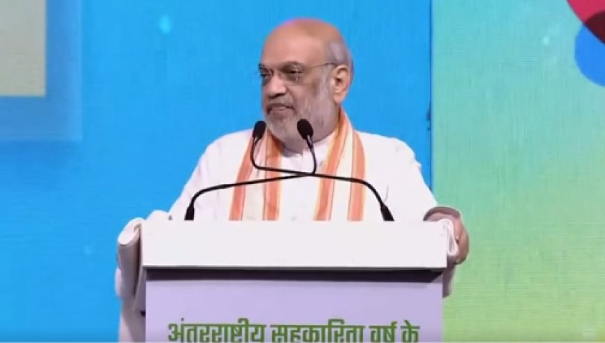 किसानों से सीधी ख़रीदारी शुरू करेगा नेफेडः अमित शाह