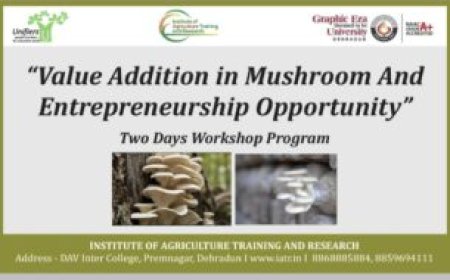 डिजिटल भारत का एक दशक