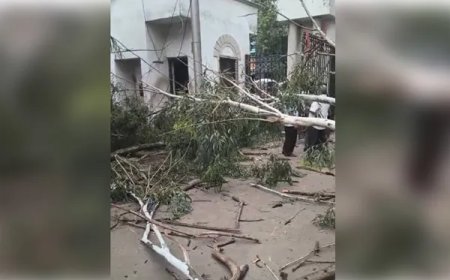 हावड़ा नगर निगम में पेड़ गिरने से दो कर्मचारियों की मौत, प्रशासन पर लापरवाही का आरोप