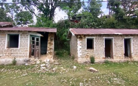 पुनर्निर्माण की बाट जोह रहा हैं उद्यान विभाग पोखरी का जर्जर भवन, स्थानीय जनप्रतिनिधियों ने जिलाधिकारी को भेजा ज्ञापन