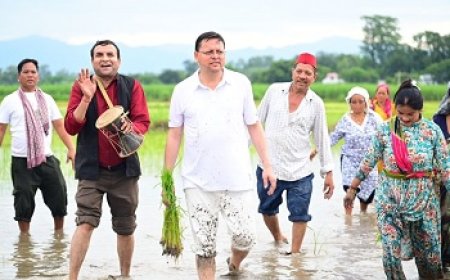 सीएम धामी ने खटीमा में की धान रोपाई, किसानों के श्रम को किया नमन