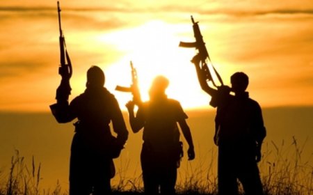 पाकिस्तान: बलूचिस्तान में बस में सवार यात्रियों को पहचान पत्र देख उतारा, फिर मार दी गोली