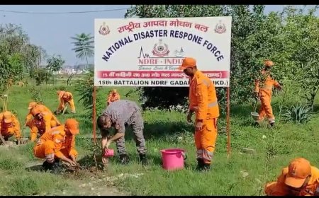 देहरादून: 125 किलो डायनामाइट की खरीदी चौकीदार से, पकड़े जाने पर मालिक ने घुमाई बात