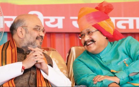 औद्योगिक निवेश के क्षेत्र में कारगर साबित होगा गृह मंत्री का दौरा: महाराज