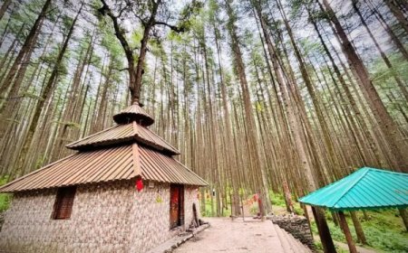 उत्तराखंड का रहस्यमय देवलसारी गांव : जहां शिव के क्रोध ने बनाया जंगल, जानिए कोनेश्वर महादेव मंदिर की अनूठी कहानी और रहस्य
