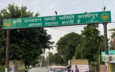 मंडी समिति काशीपुर के प्रभारी सचिव रिश्वत लेते रंगे हाथों गिरफ्तार, जीरो टॉलरेंस नीति पर अडिग है धामी सरकार