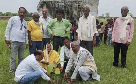 डा अम्बेडकर माध्यमिक विद्यालय, हसूपुरा, रेंढर में पर्यावरण संरक्षण गोष्ठी और वृक्षारोपण कार्यक्रम हुआ सम्पन्न : प्रबंधक रामशरण जाटव ने जीवन में वृक्ष के महत्व पर डाला प्रकाश