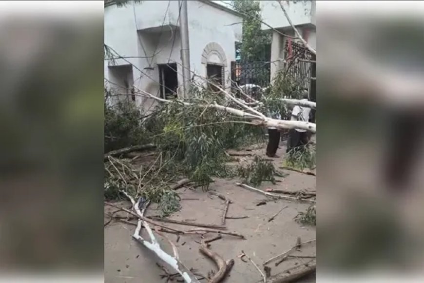 हावड़ा नगर निगम में पेड़ गिरने से दो कर्मचारियों की मौत, प्रशासन पर लापरवाही का आरोप
