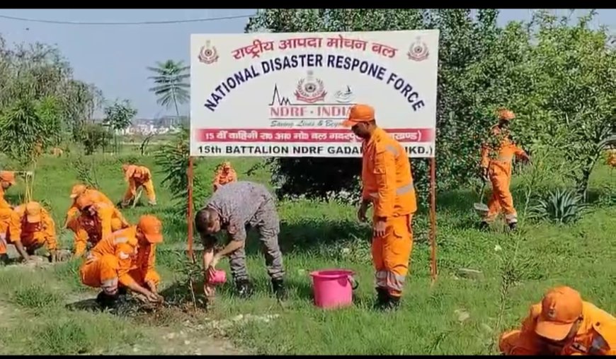 देहरादून: 125 किलो डायनामाइट की खरीदी चौकीदार से, पकड़े जाने पर मालिक ने घुमाई बात
