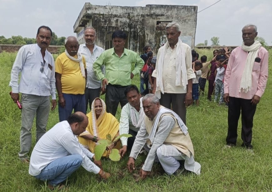 डा अम्बेडकर माध्यमिक विद्यालय, हसूपुरा, रेंढर में पर्यावरण संरक्षण गोष्ठी और वृक्षारोपण कार्यक्रम हुआ सम्पन्न : प्रबंधक रामशरण जाटव ने जीवन में वृक्ष के महत्व पर डाला प्रकाश