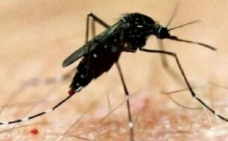 Uttarkashi :- धराली में बादल फटने पर अमित शाह ने जताया दुःख और संवेदना