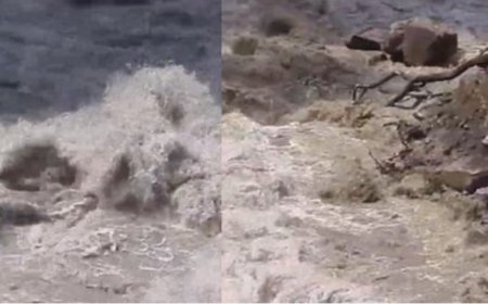 Uttarkashi: डबरानी के पास नदी में गिरी JCB, चालक लापता, एसडीआरएफ का रेस्क्यू जारी