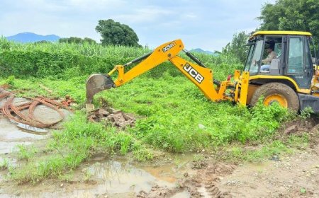 एमडीडीए की बड़ी कार्रवाई, अवैध निर्माण और प्लॉटिंग पर चला बुलडोजर, कई भवन ध्वस्त व सील