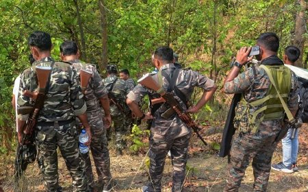 छत्तीसगढ़: सुरक्षाबलों ने बड़े एनकाउंटर में तीन नक्सलियों को किया ढेर