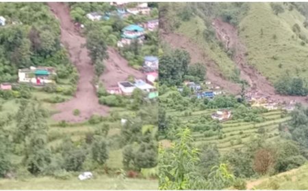 Chamoli: नंदा देवी राजजात यात्रा मार्ग की पारिस्थितिकीय स्थिति पर यूसैक वैज्ञानिक करेंगे अध्ययन, जानेंगे मार्ग की भार क्षमता