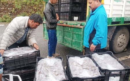 काश्तकारों की आय बढ़ाने को लीलियम खेती की कवायद