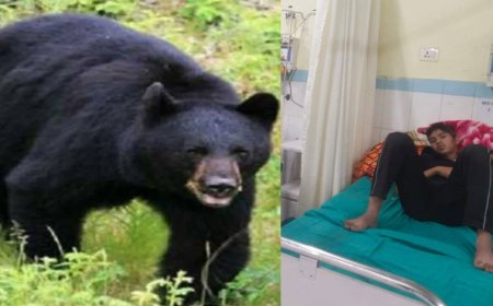 पौड़ी: खिर्सू क्षेत्र में अग्निवीर भर्ती की तैयारी कर रहे युवाओं पर भालू का हमला, दोनों घायल