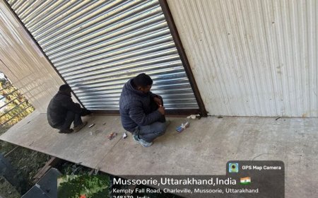 एमडीडीए की बड़ी कार्रवाई – मसूरी, विकासनगर और देहरादून क्षेत्र में अवैध प्लाटिंग व निर्माण पर बुलडोज़र, कई साइटें सील और ध्वस्त