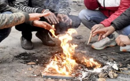 पंजाब में पारा 2.9 डिग्री पहुंचा: आज से दो दिन सात जिलों में कोल्ड वेव का अलर्ट