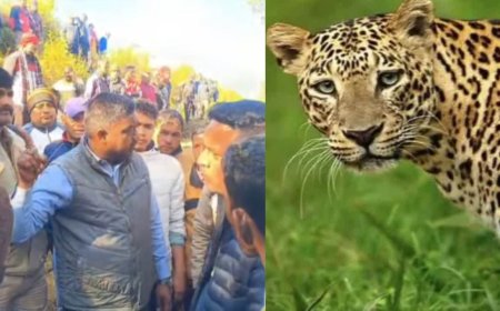 पौड़ी में नहीं थम रहा गुलदार का आतंक, गजल्ट गांव में 42 साल के राजेंद्र को बनाया निवाला, ग्रामीणों में आक्रोश