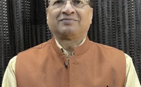 आमजन के द्वार पहुंच समस्याओं का त्वरित निदान करें अधिकारी:  सीएम