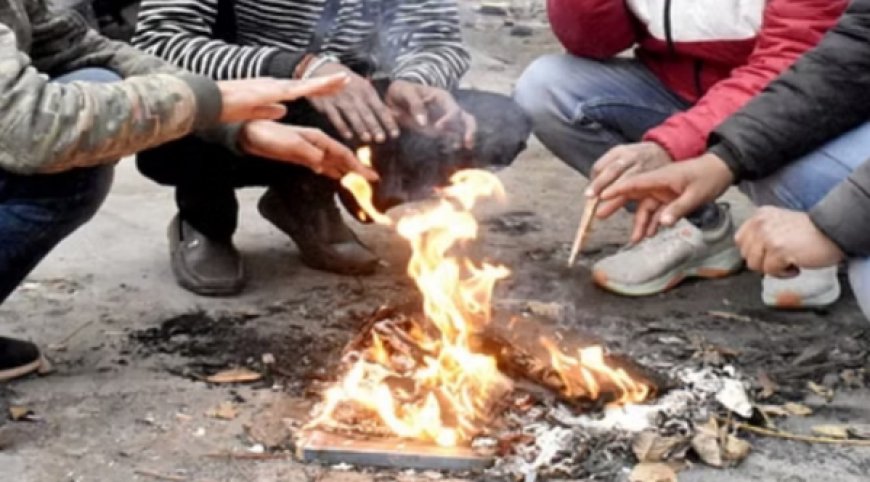 पंजाब में पारा 2.9 डिग्री पहुंचा: आज से दो दिन सात जिलों में कोल्ड वेव का अलर्ट