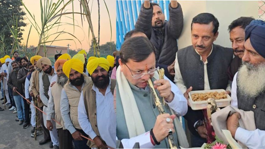 गन्ना समर्थन मूल्य बढ़ाने पर किसानों ने मुख्यमंत्री पुष्कर सिंह धामी का किया आभार, 3 लाख गन्ना किसानों को मिलेगा सीधा लाभ