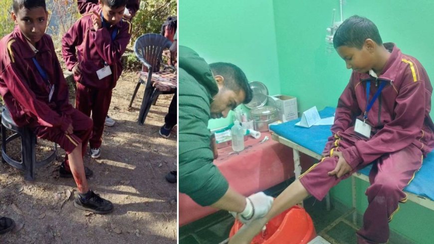 चमोली में भालू से भिड़ गया 11 साल का छात्र, बचाई साथी की जान, स्कूल जाते वक्त भालू ने किया हमला