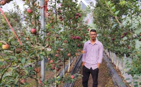 एप्पल मिशन की बदौलत टिहरी के सतीश ने लिखी कामयाबी की नई इबारत, पहले सीजन में कमाए 2.5 लाख