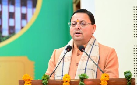 बागवानी को संबल, राज्य में एंटीहेल नेट योजना को मिली कैबिनेट मंजूरी..