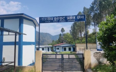 उत्तराखंड राज्य का प्रथम ब्रायलर कुक्कुट प्रक्षेत्र विकासखंड थौलधार में स्थापित