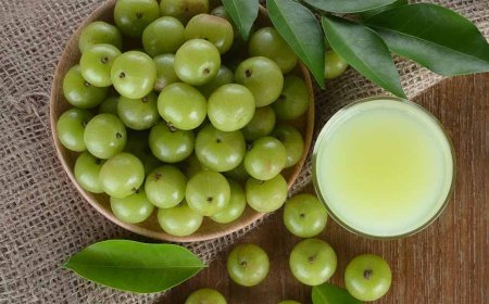 रोज़ आंवला जूस पीने के जबरदस्त फायदे, सेहतमंद रहना है तो आज से करें शुरुआत