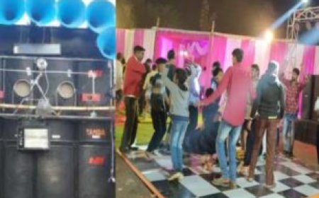 निराश्रित, बेसहारा गोवंश संरक्षण के लिए जिला प्रशासन ने स्वीकृत किए नए आश्रय