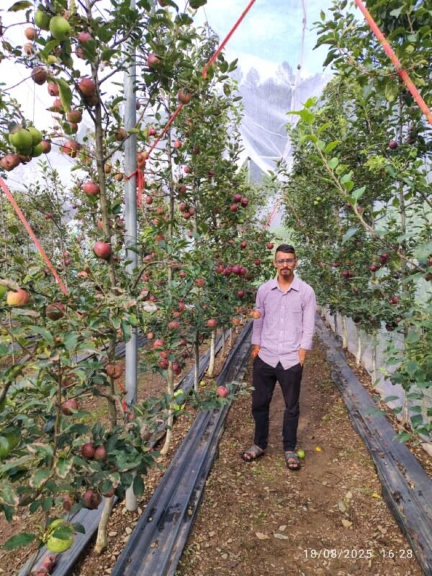 एप्पल मिशन की बदौलत टिहरी के सतीश ने लिखी कामयाबी की नई इबारत, पहले सीजन में कमाए 2.5 लाख