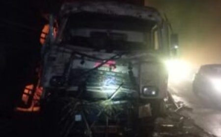 अपना खर्चा खुद उठाओ’, डोनाल्ड ट्रंप ने Google-Meta जैसे टेक दिग्गजों से ऐसा क्यों कहा?