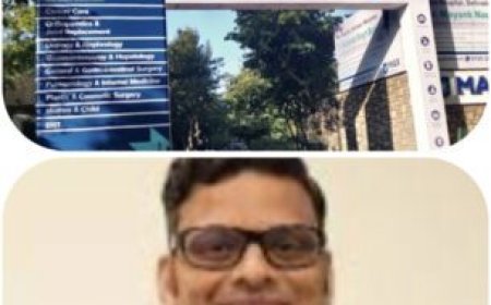 बांके बिहारी संग होली: ब्रज में उमड़ा आस्था का सैलाब, 11 दिन में 50 लाख भक्त पहुंचे मथुरा