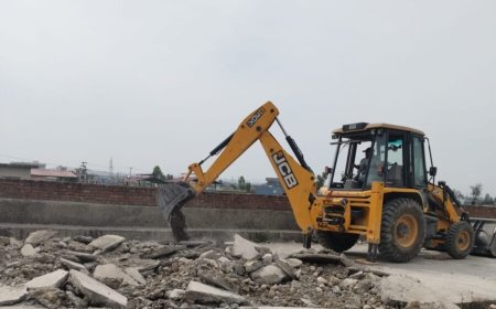 गणेशपुर में 30 बीघा की अवैध प्लॉटिंग पर चला एमडीडीए का बुलडोजर, जेसीबी से ध्वस्तीकरण की कार्रवाई