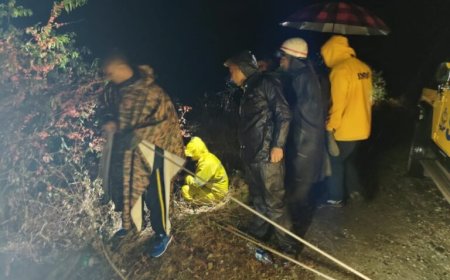 देहरादून, मसूरी क्षेत्रान्तर्गत हाथीपांव के पास एक वाहन दुर्घटनाग्रस्त, एसडीआरएफ, उत्तराखंड ने किया 02 का रेस्क्यू