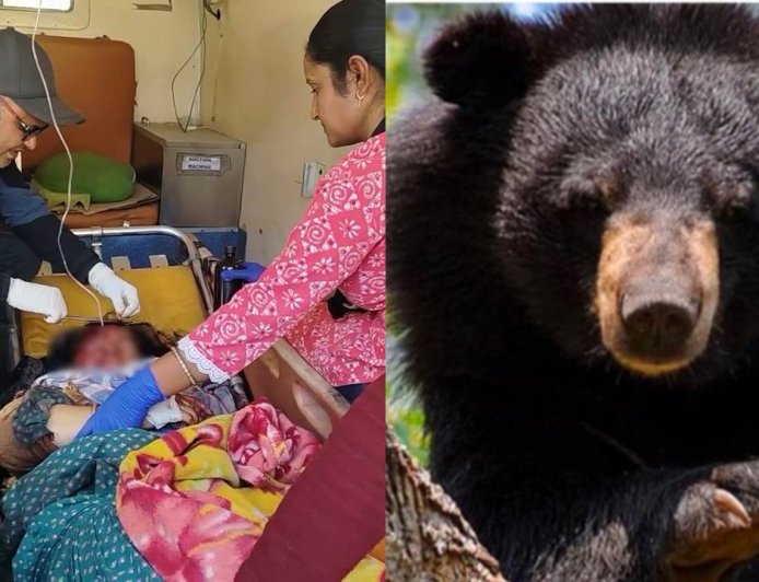 चमोली:  मायके में चारापत्ती लेने गई महिला पर भालू का हमला, गंभीर हालत में ऋषिकेश एम्स रेफर