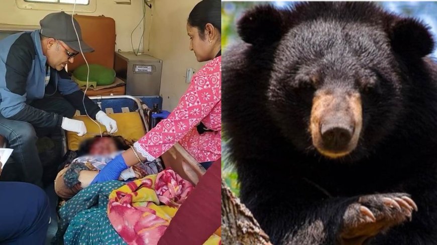 चमोली:  मायके में चारापत्ती लेने गई महिला पर भालू का हमला, गंभीर हालत में ऋषिकेश एम्स रेफर