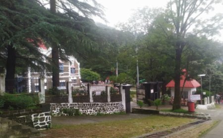 उपनल और वन विभाग के दैनिक श्रमिकों के न्यूनतम वेतन-नियमितीकरण पर सुनवाई, जानें कोर्ट में क्या हुआ