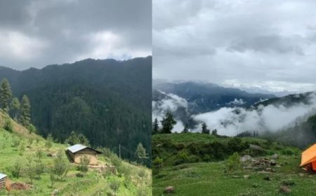 शिमला-मनाली की भीड़ से हटकर बिताना चाहते हैं सुकूनभरी छुट्टियां? गर्मियों में साइलेंट एस्केप के लिए परफेक्ट हैं ये 5 अनछुए हिल स्टेशन