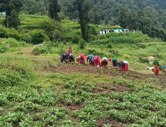 पहाड़ों में नई क्रांति: आधुनिक कृषि और स्वरोजगार से बागेश्वर बन रहा आत्मनिर्भरता का मॉडल